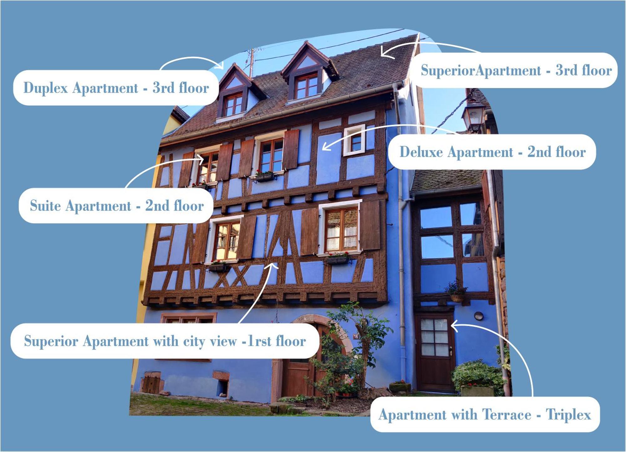 La Maison Bleue - Historic House In The Heart Of Riquewihr Exterior foto